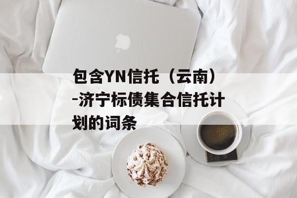 包含YN信托（云南）-济宁标债集合信托计划的词条