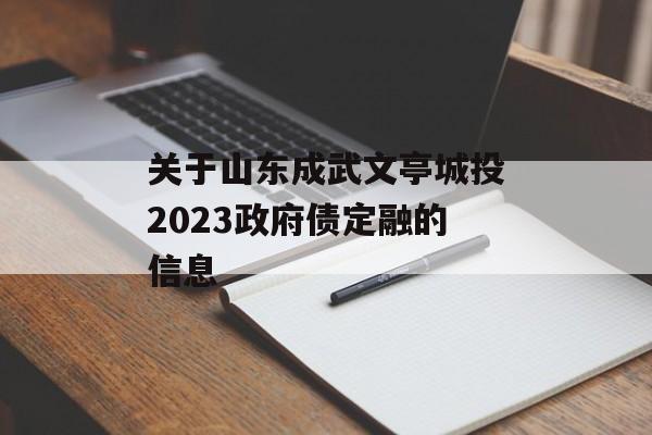 关于山东成武文亭城投2023政府债定融的信息